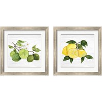 Framed 'Citrus Garden Shiplap 2 Piece Framed Art Print Set' border=
