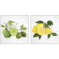 Framed 'Citrus Garden Shiplap 2 Piece Art Print Set' border=