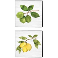 Framed 'Citrus Garden Shiplap 2 Piece Canvas Print Set' border=