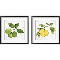 Framed 'Citrus Garden Shiplap 2 Piece Framed Art Print Set' border=