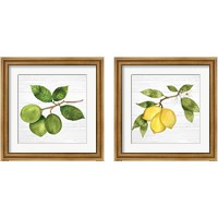 Framed 'Citrus Garden Shiplap 2 Piece Framed Art Print Set' border=