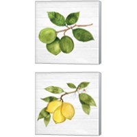 Framed 'Citrus Garden Shiplap 2 Piece Canvas Print Set' border=