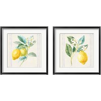 Framed 'Floursack Lemons Sq Navy 2 Piece Framed Art Print Set' border=