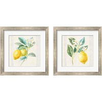 Framed 'Floursack Lemons Sq Navy 2 Piece Framed Art Print Set' border=