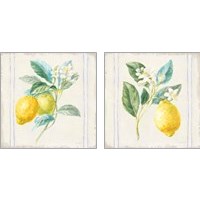 Framed 'Floursack Lemons Sq Navy 2 Piece Art Print Set' border=