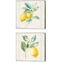 Framed 'Floursack Lemons Sq Navy 2 Piece Canvas Print Set' border=