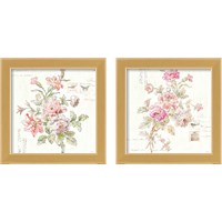 Framed 'Cottage Roses  2 Piece Framed Art Print Set' border=