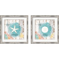 Framed 'Beach Shell 2 Piece Framed Art Print Set' border=