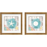 Framed 'Beach Shell 2 Piece Framed Art Print Set' border=