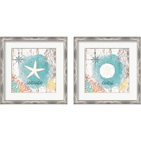 Framed 'Beach Shell 2 Piece Framed Art Print Set' border=