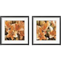 Framed Apricot Dream 2 Piece Framed Art Print Set