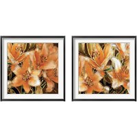 Framed Apricot Dream 2 Piece Framed Art Print Set