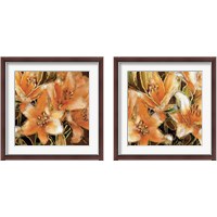 Framed 'Apricot Dream 2 Piece Framed Art Print Set' border=