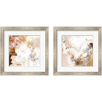 Framed 'Blush & Umber 2 Piece Framed Art Print Set' border=