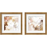 Framed Blush & Umber 2 Piece Framed Art Print Set