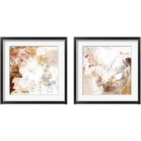 Framed 'Blush & Umber 2 Piece Framed Art Print Set' border=