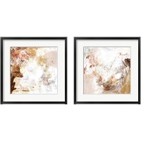 Framed Blush & Umber 2 Piece Framed Art Print Set