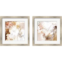 Framed Blush & Umber 2 Piece Framed Art Print Set