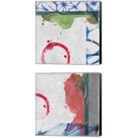 Framed 'Agenais  2 Piece Canvas Print Set' border=