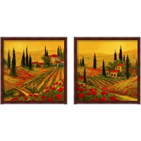 Framed 'Poppies of Toscano 2 Piece Framed Art Print Set' border=