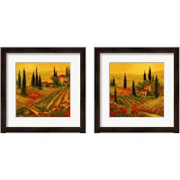 Framed 'Poppies of Toscano 2 Piece Framed Art Print Set' border=