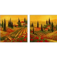Framed 'Poppies of Toscano 2 Piece Art Print Set' border=