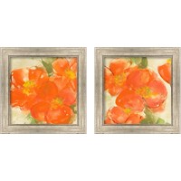 Framed 'Tangerine Poppies 2 Piece Framed Art Print Set' border=