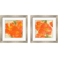 Framed Tangerine Poppies 2 Piece Framed Art Print Set