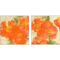 Framed 'Tangerine Poppies 2 Piece Art Print Set' border=