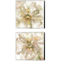 Framed Neutral Watercolor Poppy Close Up 2 Piece Canvas Print Set