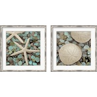 Framed Aquatic 2 Piece Framed Art Print Set