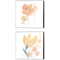 Framed 'Petite Petals 2 Piece Canvas Print Set' border=