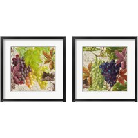 Framed 'Vintage Fruits 2 Piece Framed Art Print Set' border=