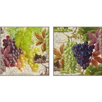 Framed 'Vintage Fruits 2 Piece Art Print Set' border=