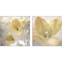 Framed 'Yellow Tulip 2 Piece Art Print Set' border=
