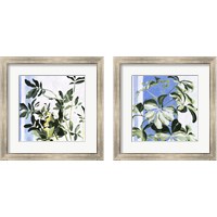 Framed 'Indoor Plant 2 Piece Framed Art Print Set' border=