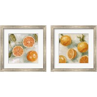 Framed Fresh Citrus 2 Piece Framed Art Print Set