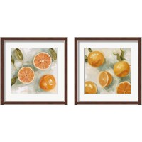 Framed 'Fresh Citrus 2 Piece Framed Art Print Set' border=