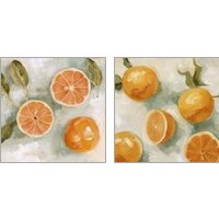 Framed Fresh Citrus 2 Piece Art Print Set