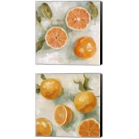 Framed 'Fresh Citrus 2 Piece Canvas Print Set' border=