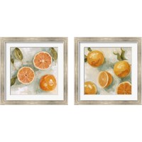 Framed 'Fresh Citrus 2 Piece Framed Art Print Set' border=