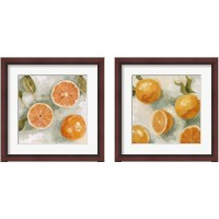 Framed Fresh Citrus 2 Piece Framed Art Print Set
