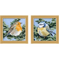 Framed 'Painterly Bird 2 Piece Framed Art Print Set' border=