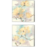 Framed Magnolias in White 2 Piece Canvas Print Set