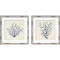 Framed 'Coral Trio in Indigo 2 Piece Framed Art Print Set' border=