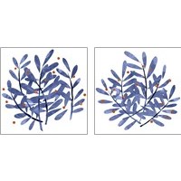Framed 'Botanical Impressions 2 Piece Art Print Set' border=