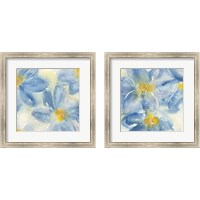 Framed 'Tinted Clematis 2 Piece Framed Art Print Set' border=