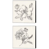 Framed 'Flower Sketches 2 Piece Canvas Print Set' border=