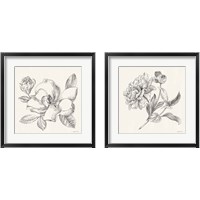 Framed 'Flower Sketches 2 Piece Framed Art Print Set' border=
