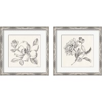 Framed 'Flower Sketches 2 Piece Framed Art Print Set' border=